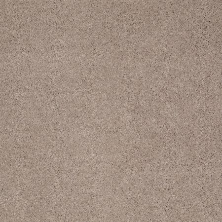Shaw Floors Caress By Shaw Quiet Comfort I Oxford