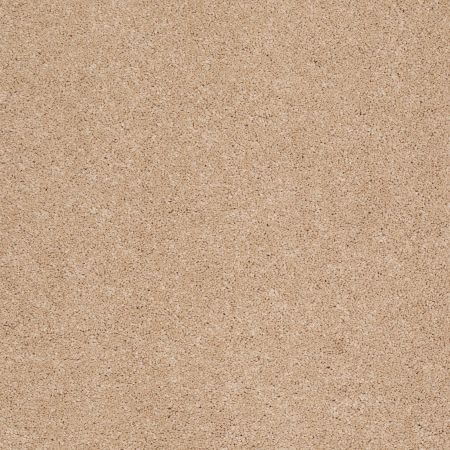 Shaw Floors Caress By Shaw Quiet Comfort III Maplewood North