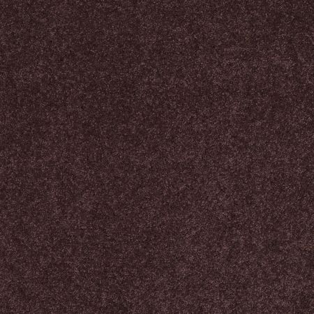 Shaw Floors Caress By Shaw Quiet Comfort Iv Mountain Haze