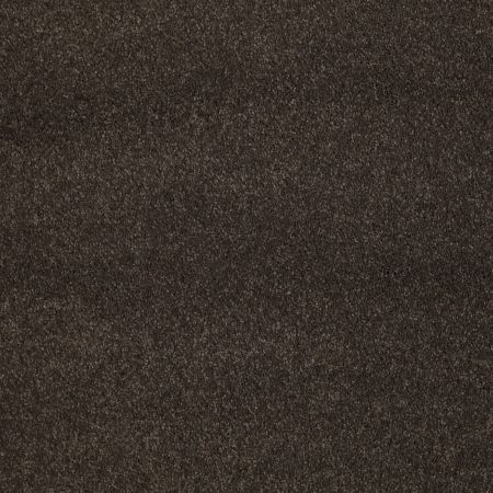 Shaw Floors Caress By Shaw Quiet Comfort Classic III Chestnut