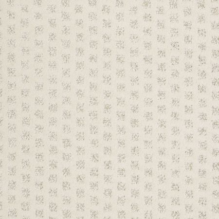 Shaw Floors Caress By Shaw My Expression Soft Fleece