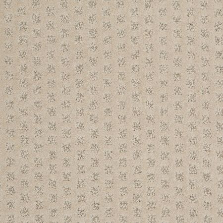 Shaw Floors Caress By Shaw My Expression Ridgeway Walk