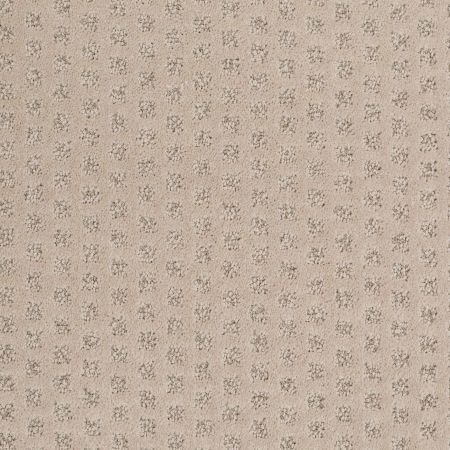 Shaw Floors Caress By Shaw My Expression Fawn