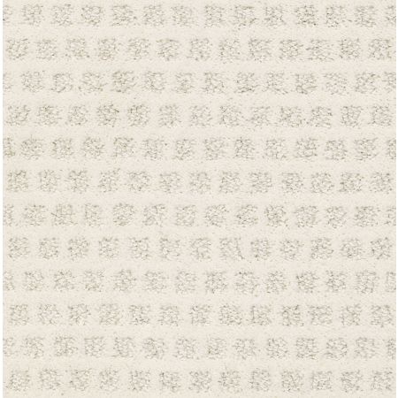 Shaw Floors Caress By Shaw My Expression Snowfall