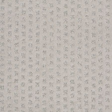 Shaw Floors Caress By Shaw My Expression Plainview