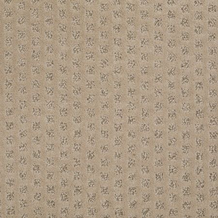 Shaw Floors Caress By Shaw The Arts Llama