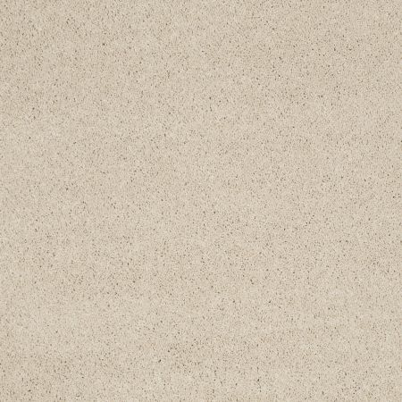 Shaw Floors Caress By Shaw Cashmere Iv Cheviot