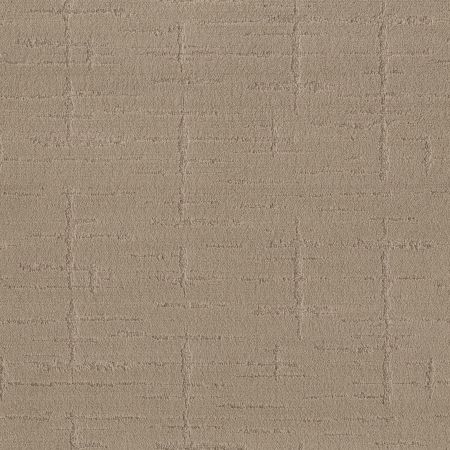 Shaw Floors Caress By Shaw Rustique Vibe Tumbleweed