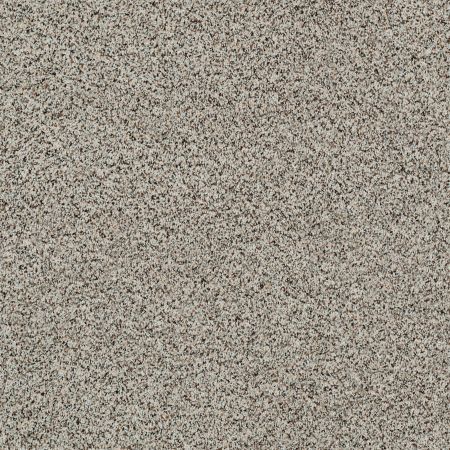 Shaw Floors Caress By Shaw Angora Classic II Dala