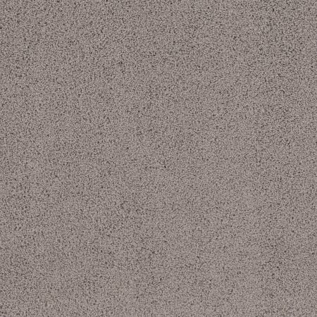 Shaw Floors Caress By Shaw Rich Opulence Ridgeview