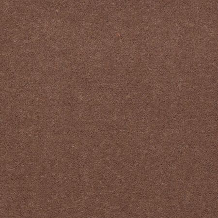 Philadelphia Commercial Carpet Exchange Excel 30 Koala