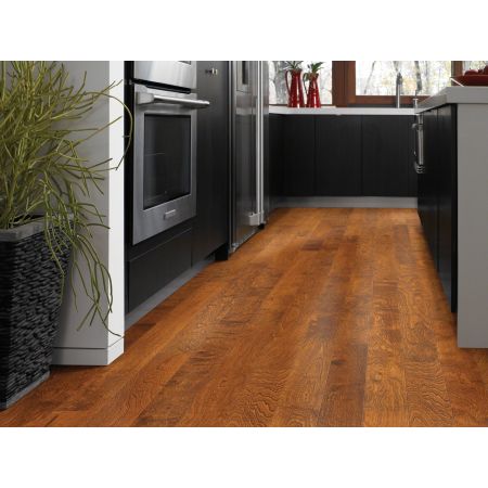 Shaw Floors Shaw Design Center Orlando Burnside