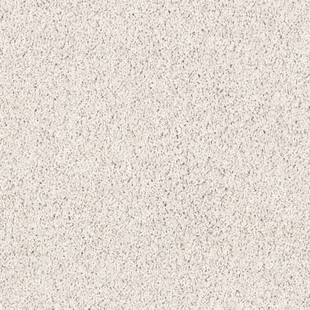 Shaw Floors Lonestar Carrera