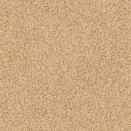 Shaw Floors Lonestar Acorn