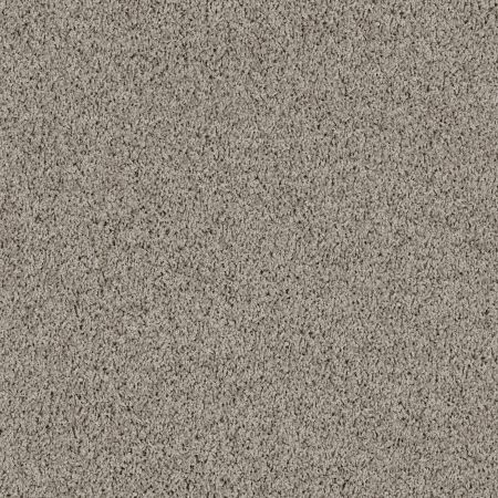 Shaw Floors Lonestar Dovetail