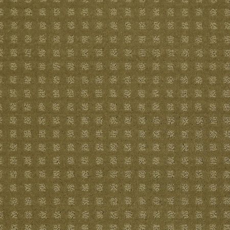 Shaw Floors Nottingham Aloe