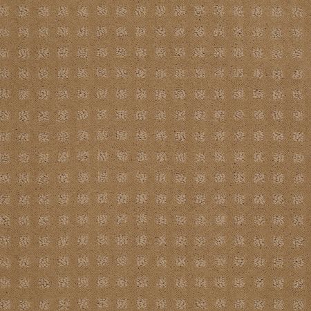 Shaw Floors Nottingham Field Stone