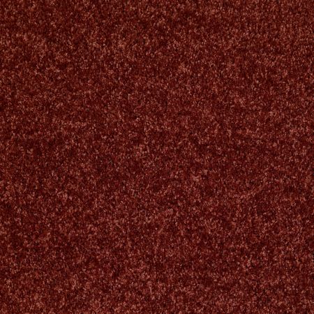 Shaw Floors Dreamin' 12' Sienna