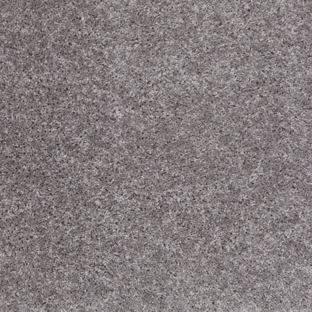 Shaw Floors Vermont (s)12' Sterling