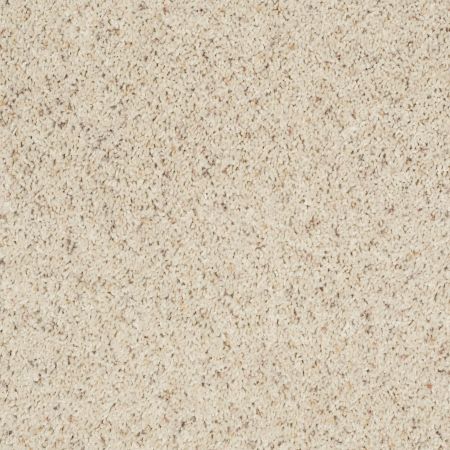 Shaw Floors Thunder Struck (b) Outer Bank