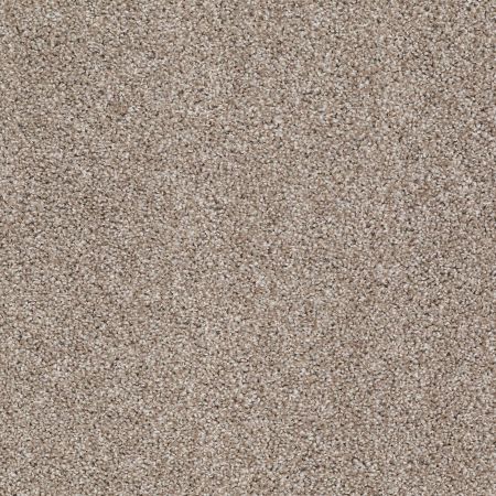 Shaw Floors Go For It Sandstone