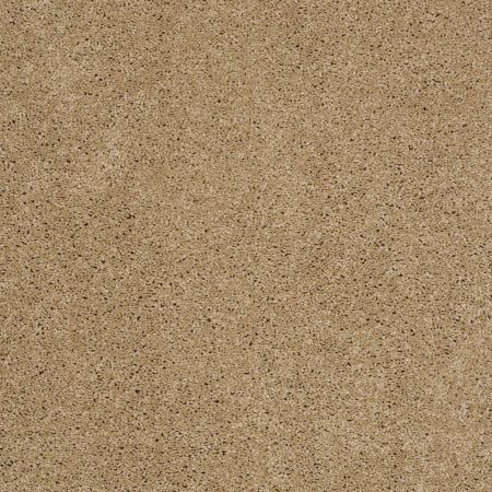 Shaw Floors Enduring Comfort III Cologne Mist