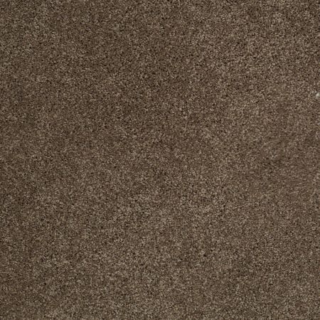 Shaw Floors Origins Townhouse