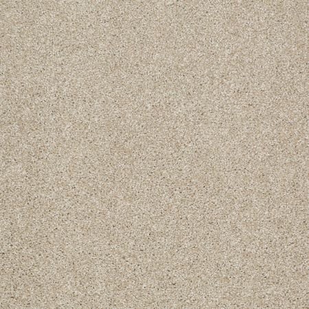 Shaw Floors Picturesque Frost