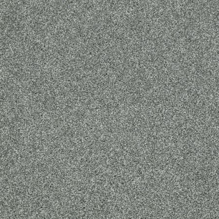 Shaw Floors Picturesque Refreshing