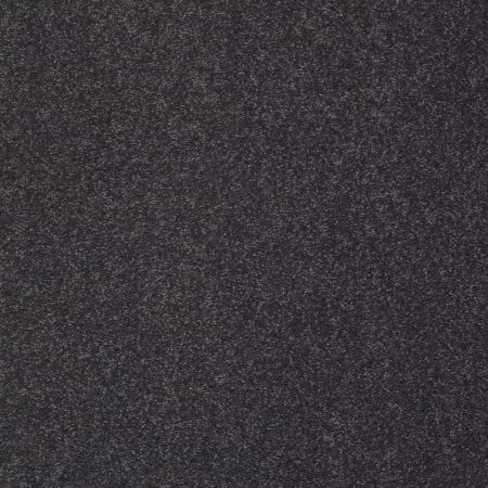 Shaw Floors Sandy Hollow Classic I 12' Dutch Boy