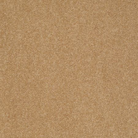 Shaw Floors Foundations Sandy Hollow Classic II 15' Cork