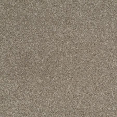 Shaw Floors Sandy Hollow Classic Iv 15' Wood Smoke