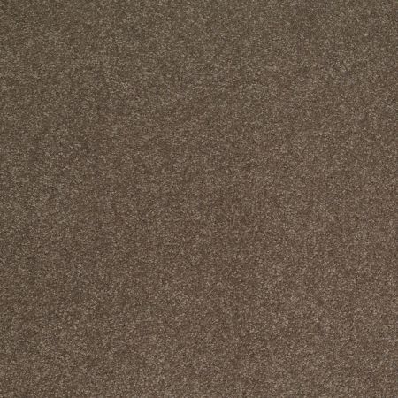 Shaw Floors Sandy Hollow Classic Iv 15' Castle Rock