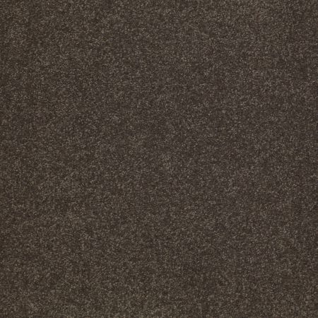 Shaw Floors Sandy Hollow Classic Iv 15' Arrowhead