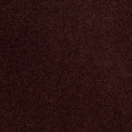 Shaw Floors Sandy Hollow Classic Iv 15' Rouge Red