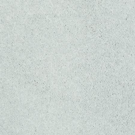 Shaw Floors Foundations Well Played I 12' Sheer Silver