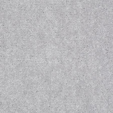 Shaw Floors Foundations Well Played I 12' Dove Tail