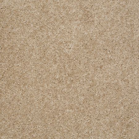 Shaw Floors Max Appeal Hillsborough