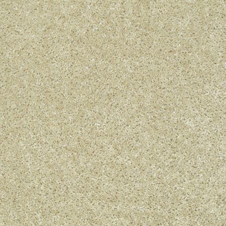 Shaw Floors Play Hard Sand Pebble
