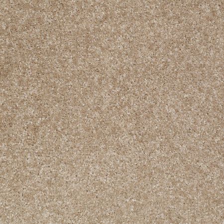 Shaw Floors Victory Portobello