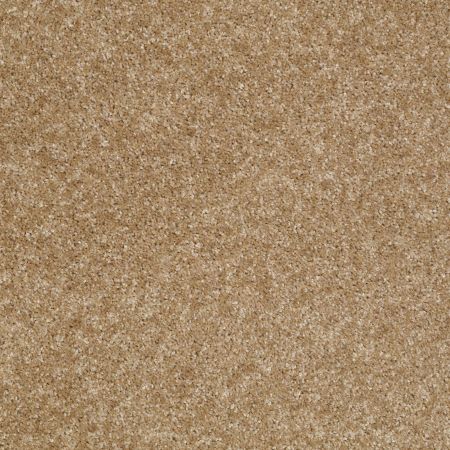 Shaw Floors Victory Country Road