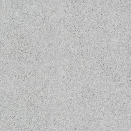Shaw Floors Foundations Well Played II 15 Sheer Silver