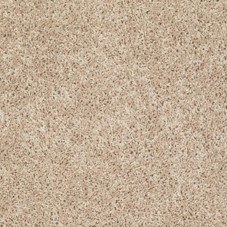 Shaw Floors Value Collections Let's Go (s) Net Natural Sand