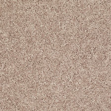 Shaw Floors Value Collections Let's Go (s) Net Cream Escape