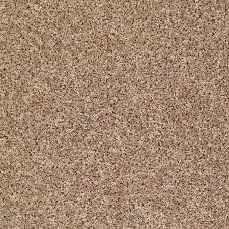 Shaw Floors Value Collections Let's Go (s) Net Northern Plains