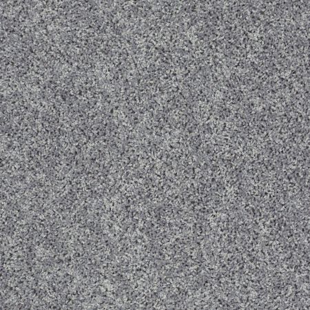 Shaw Floors Value Collections Let's Go (s) Net Windy City