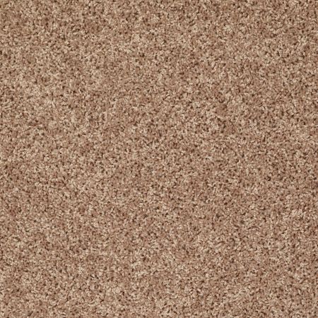 Shaw Floors Value Collections Let's Go (s) Net Pebble