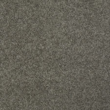 Shaw Floors My Choice III Grey Flannel