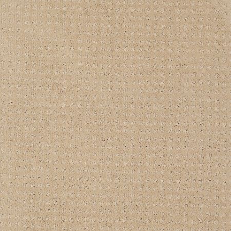 Shaw Floors My Choice Pattern Mesa