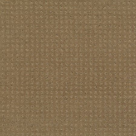 Shaw Floors My Choice Pattern Cappuccino